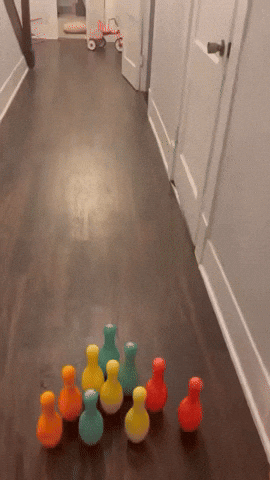 giphy.gif