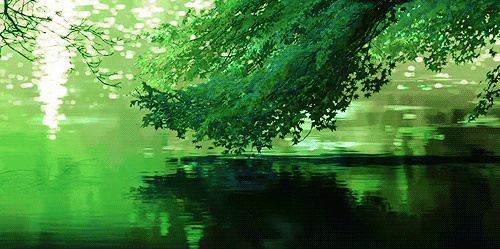 forest scenery anime water