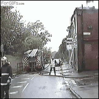 giphy.gif