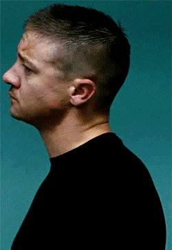 jeremy renner gif find amp share on giphy jeremy renner gif find amp share on giphy