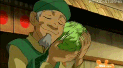 Avatar The Last Airbender Cabbage GIF