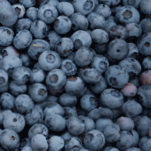 Fruit Blueberries GIF - Find & Share on GIPHY
