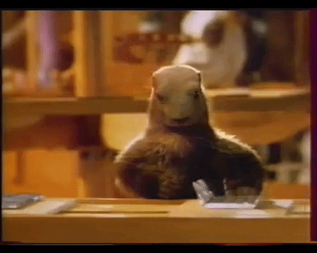 RÃ©sultat de recherche d'images pour "marmotte milka gif"