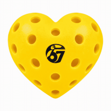 TOCO67 Pickleball GIF eYFJbgzqusAizf9ufF