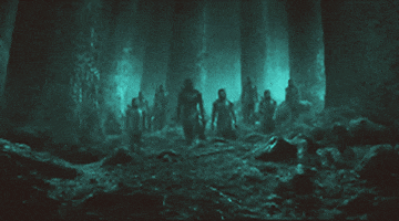wih   fantastic beasts    find  gif