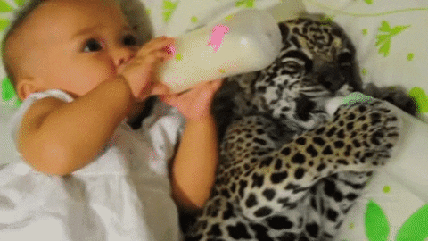 Baby Milk GIF - Find & Share on GIPHY