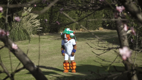 Liga Mx Football GIF by MiSelecciónMX