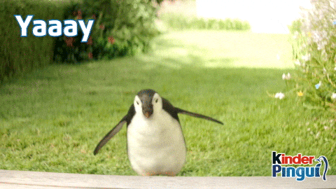 kinder Pinguí Official GIF
