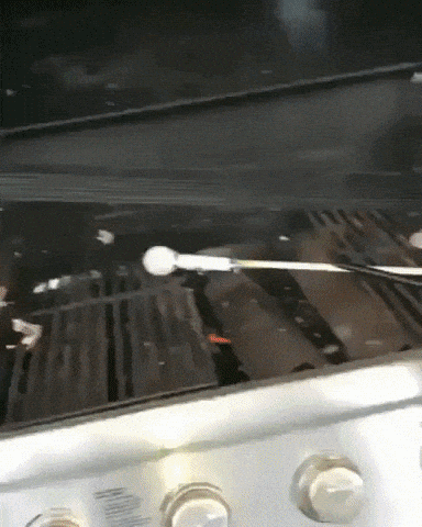 Lets put firecracker in grill and close it in fail gifs