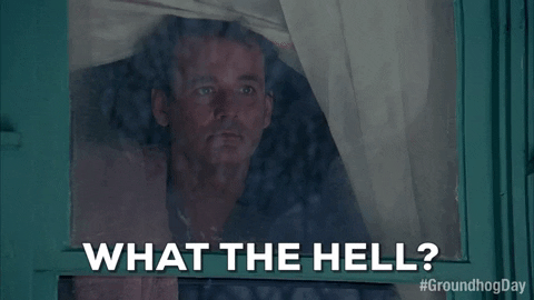 Bill Murray What GIF by Groundhog Day