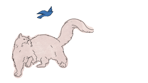 giphy.gif
