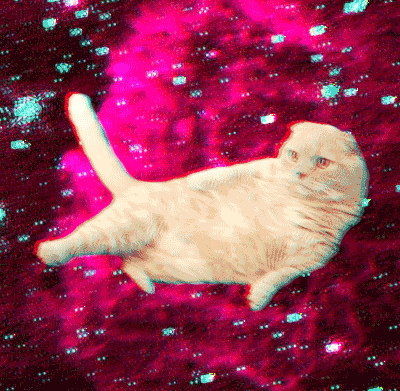 Cat Animated Gif Cat Animated Gif