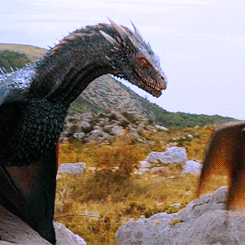 Game Of Thrones Got Spoilers GIF - Find & Share on GIPHY