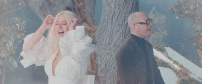 giphy.gif