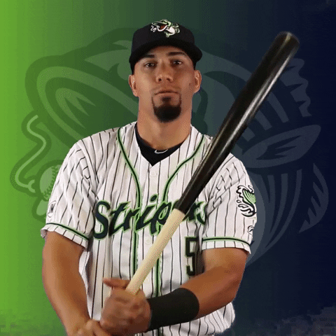 Gwinnett Stripers GIF