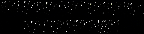 Bellessenza GIF