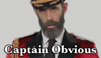 Captain Obvious GIF by memecandy