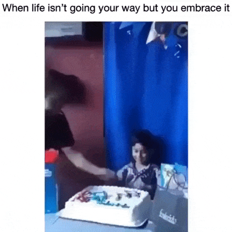 When life isnt going your way but you embrace it in funny gifs