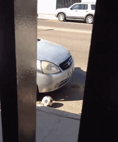 Thank you officer in funny gifs