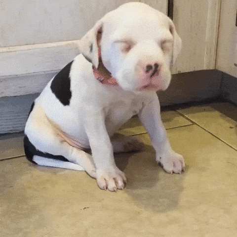 https://media.giphy.com/media/ejgD6bStxnBny/giphy-downsized-large.gif