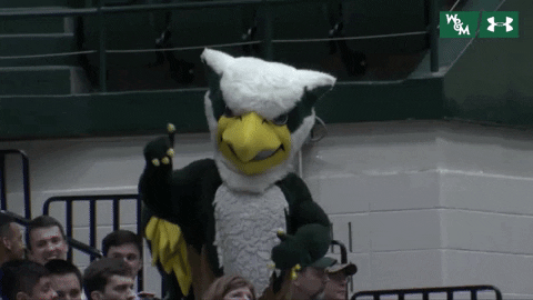 William & Mary Tribe Athletics GIF