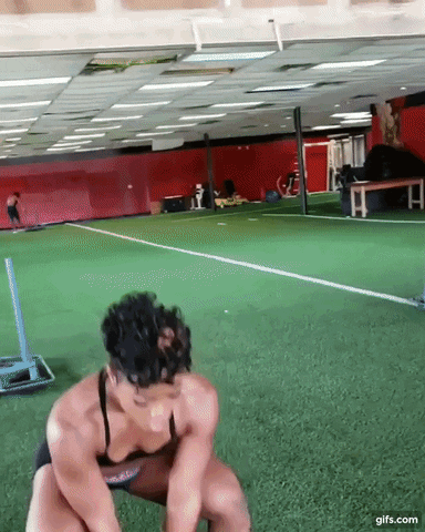 giphy.gif