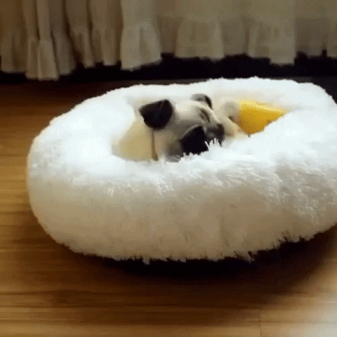 Comfortable and Warm Plush Pet's Bed