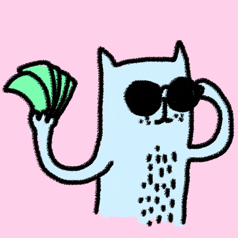 Cash Cat Gifs Get The Best Gif On Giphy - 