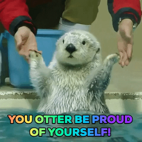 Sea Otter Good Job GIF by Justin - Find & Share on GIPHY