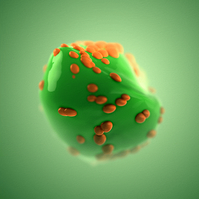 infectie en bacteriën animatie
