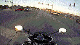 girl kitten motorcycle saves