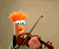 Image result for beaker muppet gif violin