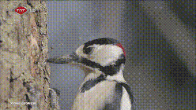 Motion GIF - Find & Share on GIPHY