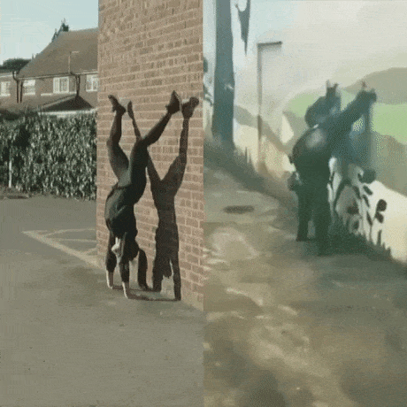 Who did it better in funny gifs