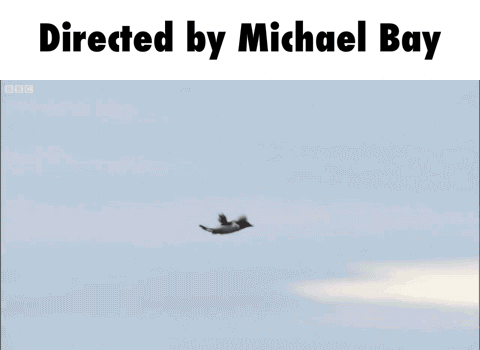 Robopocalypse