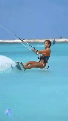 giphy.gif