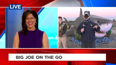 Big Joe Dinosaur GIF by WSMV News 4, Nashville