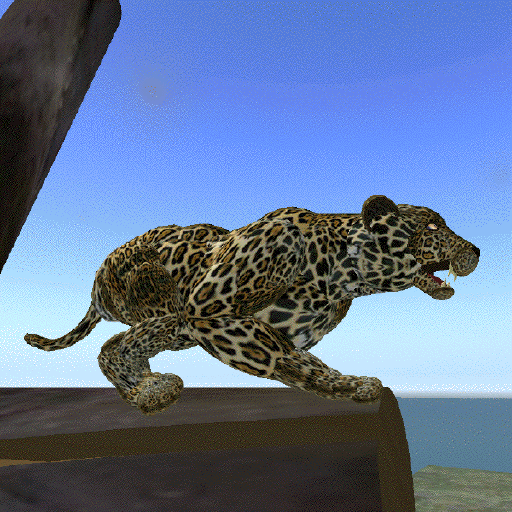 Jaguar GIF Find & Share on GIPHY