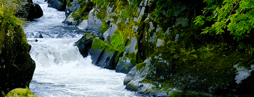 Flowing Water GIF - Find & Share on GIPHY