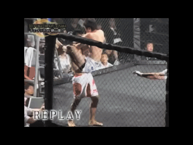 Animated GIF - Find & Share on GIPHY