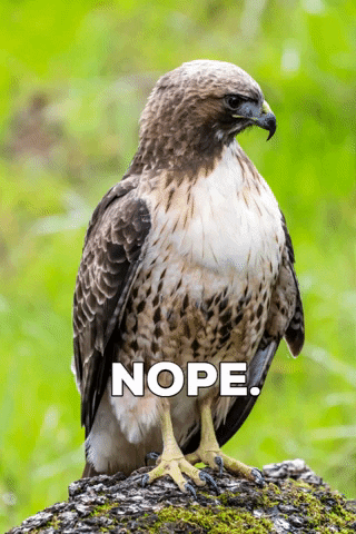 Oakland Zoo GIF