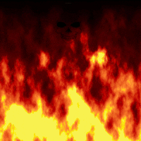 giphy.gif