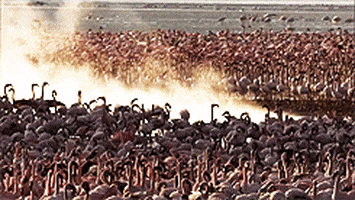 200.gif