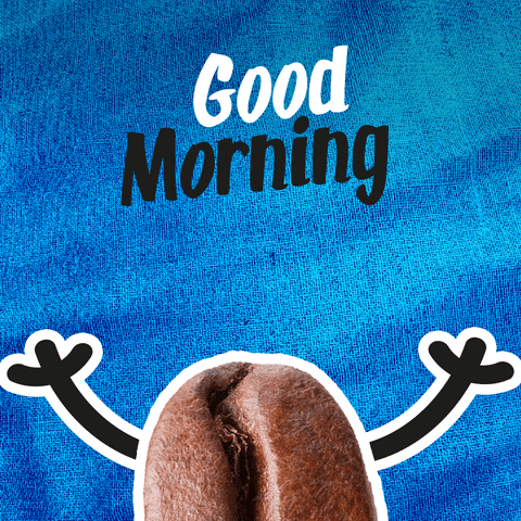 giphy.gif