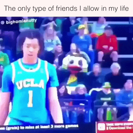 Keep your head high buddy in funny gifs