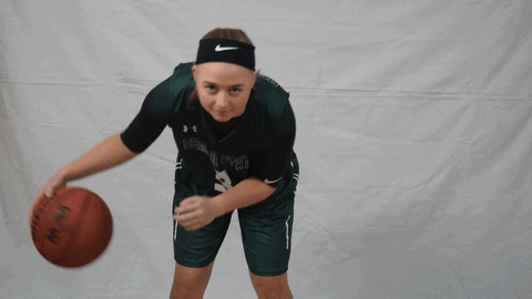 Bemidji State Beavers GIF