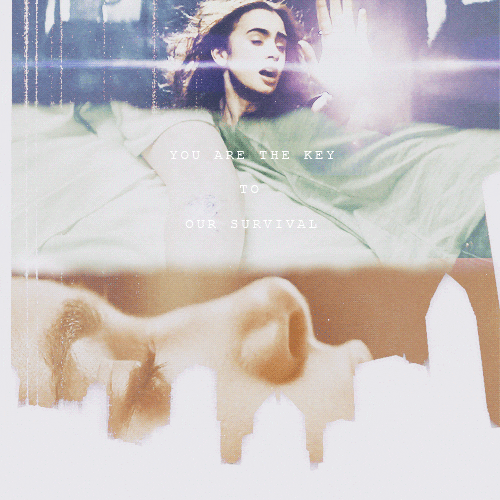 Oh Man I Like This Lily Collins GIF Find & Share on GIPHY