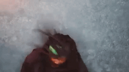 giphy.gif