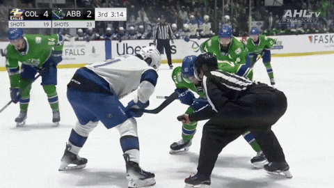giphy.gif