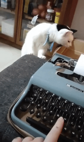 Typewritters are scary in cat gifs
